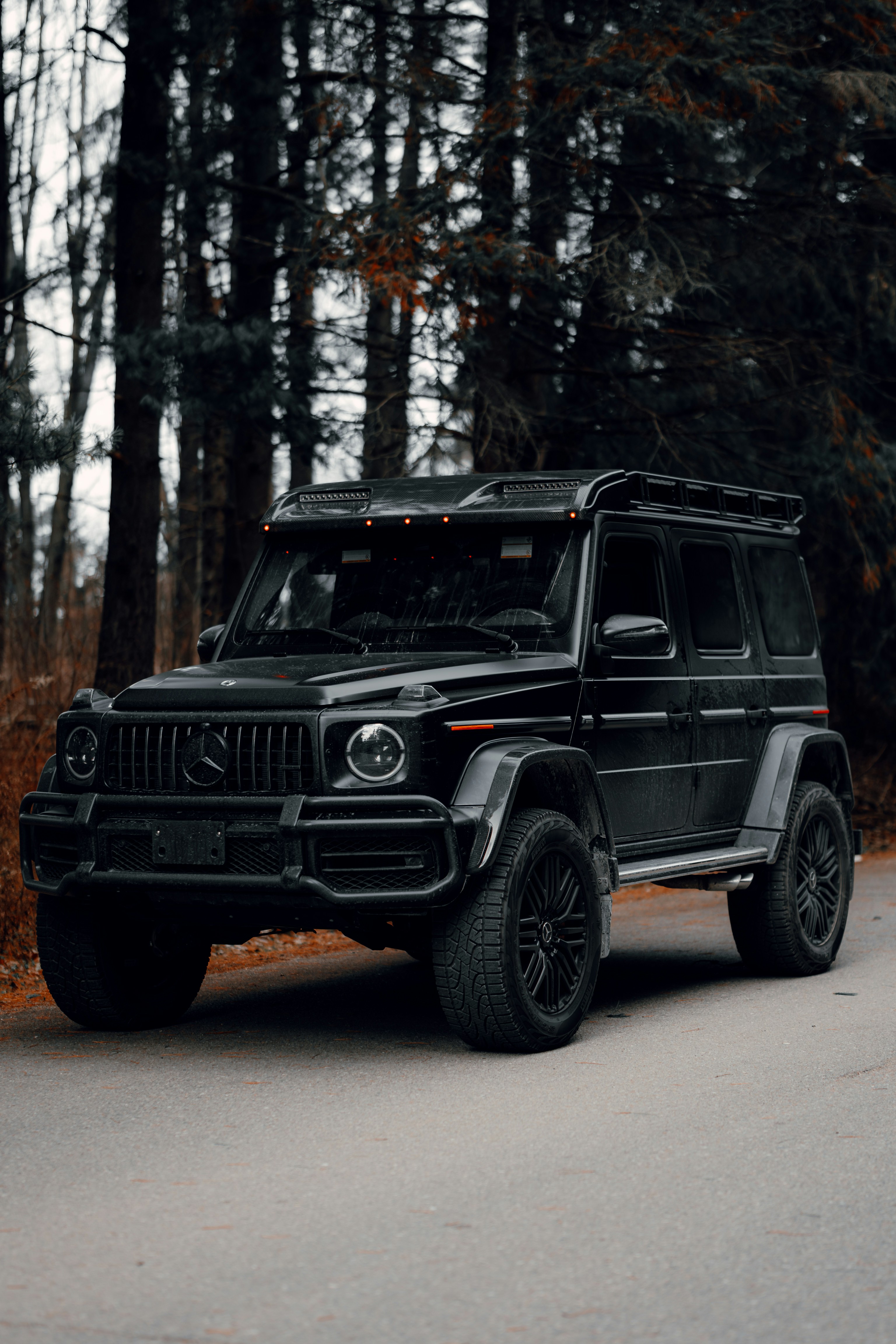 Black SUV in forest